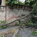 Snažno nevreme u Čačku, vetar čupao i obarao drveće