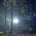 (Foto, video) baka izvela koze na ispašu, pa se izgubila: Drama kod Surdulice: Spasioci odmah krenuli u akciju