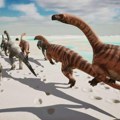 Spektakularno otkriće: Hiljade otisaka dinosaurusa na planini u Italiji