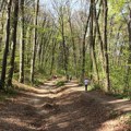 Fruškogorski maraton sutra i u subotu: Očekuje se 10.000 učesnika