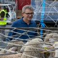 Glamočić: Značajna prilika to što je Srbija počasni gost Sajma poljoprivrede u Parizu 2027.