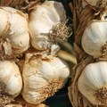 Milion dinara zarade po hektaru za gajenje belog luka, a Srbija uvozi 70% potrošnje