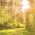 Danas sunčano i veoma toplo, temperatura do 40 stepeni