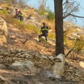 Poznato državljanstvo četvrte osobe uhapšene zbog sumnje da je izazvala požar u Hrvatskoj