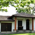 Kaja Žutić napravila pravi raj na selu, pobegla iz Beograda, a sad svako jutro gleda u brda i Šumadiju: "Ovde nema buke"