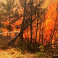 NA terenu vatrogasna vozila i helikopteri: Novi požari u Grčkoj