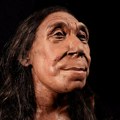 Arheologija i istorija: Obelodanjeno lice 75.000 godina stare Neandertalke