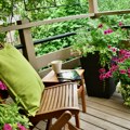 Zaštitite terasu od vrućine: Saveti za brigu o biljkama tokom toplotnog talasa