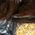Uhapšen muškarac u Nišu kod koga je pronađeno 320 kg rezanog duvana