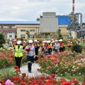 Nekada industrijski otpad, danas cvetna oaza