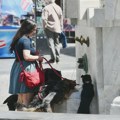 Podatak o beogradskim česmama koji smo zaboravili, a treba da nas brine - posebno po ovim vrućinama