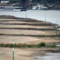 Rekordno nizak vodostaj Rajne povećava troškove transporta i otežava plovidbu