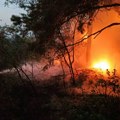 RTS: Na planini Stolovi požar i dalje nije pod kontrolom