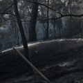 Požar iz Bugarske drugu noć besni u Grčkoj: Vatra zahvatila borovu šumu kod Evrosa