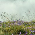 Toplo, sparno i nestabilno, mogući pljuskovi sa grmljavinom