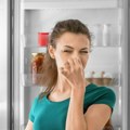 Mala rupa u frižideru skriva ogromnu opasnost Evo kako da sprečite da vam se hrana ubuđa, nesnosan smrad i ogroman račun za…