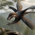 Izuzetno dobro očuvani ostaci pernatog dinosaurusa u Kini otkrivaju nove tajne o evoluciji letećih grabljivica