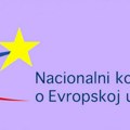 Delegacija Nacionalnog konventa o EU i Srba sa Kosova i Metohije u Briselu