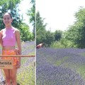 Srpska provansa Lavanda u punom cvatu kod Zimonjića mami posetioce iz cele zemlje