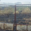 Glišić: Prikupljamo izveštaje o šteti od požara, u ponedeljak ih razmatra međuresorna komisija