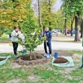Bukva na Kalemegdanu za rođendan „Zelenila Beograd”