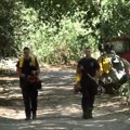 Vatrogasci i u odbrani životinja – vatra stala na 100 metara od farme u Deliblatskoj peščari