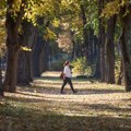 Pred nama topao septembarski dan: U ovim delovima Srbije mraz, a evo kada stiže promena vremena