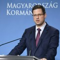 Guljaš: Ambasador SAD nije nadležan da određuje spoljnu politiku Mađarske