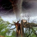Tornado u Kentakiju i Misuriju: Najmanje 27 ljudi poginulo u olujnim sistemima