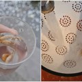 Gliste i larve muva u vodi u Mladenovcu: Meštani ne znaju šta će, od Vodovoda ni traga ni glasa VIDEO