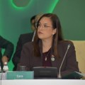 Pavkov:Veliko interesovanje za električna vozila u Srbiji 1.000 prijava za subvencije