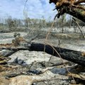 Lokalizovan požar u Deliblatskoj peščari posle mesec i po dana