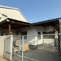 "Издаје је Кинезима, они раде по цео дан" Ово је кућа Мине Костић на Лединама, комшије проговориле: "У кући поред јој живи…