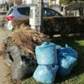 "Čistoća" će odnositi baštenski otpad do kraja godine