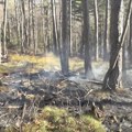 Preventivom i kaznama protiv učestalih požara u brdima