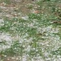 Ponovo grad, ponovo šteta – navodi SSP Topola