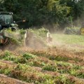 Panvita očekuje veću žetvu žitarica i uljarica nego prošle godine