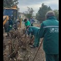 Iz "Zelenila" objasnili zašto su potpuno orezali "raspevani žbun" na Novom naselju