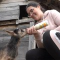 Док вршњаци беже у градове, она остаје на селу: Јована (20) је најмлађа козарица у Србији и има одличну идеју