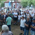 Uzgajivači maline: Otkupna cena je ponižavajuća (VIDEO)