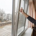 Žena htela da otvori prozor u Vladičinom Hanu, pa doživela horor! Ugledala ogromno leglo - Predstavlja opasnost za ljude