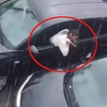 Jeziva osveta: Devojka šilom izgrebala i potpuno "izbušila" skupoceni automobil svog dečka (video)