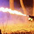 Thermonator: Prvi robot koji bljuje vatru