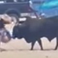 Žena se susrela oči u oči sa rogatom zveri Umesto da se povuče, pokušala da nahrani bika, usledio haos! (video)