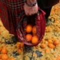 Zašto je zavladala kriza soka od narandže?