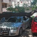 Grana pala sa drveta u centru Zaječara i oštetila dva automobila