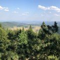 Promena statusa Srbijašuma otvara put za ulazak privatnih investitora u gazdovanje državnim šumama