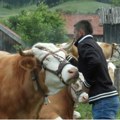 "Svako ko hoće da se vrati u svoje selo dobija put do svog domaćinstva"
