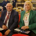 Delegacija Narodne skupštine Srbije na sastanku Odbora PS NATO-a u Palermu