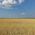 Precizna poljoprivreda štedi i čuva zemlju: Koliko je dostižna domaćim proizvođačima?